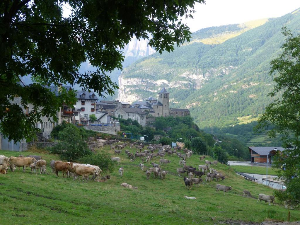 Hotel Bellavista Ordesa Torla-Ordesa Exterior foto